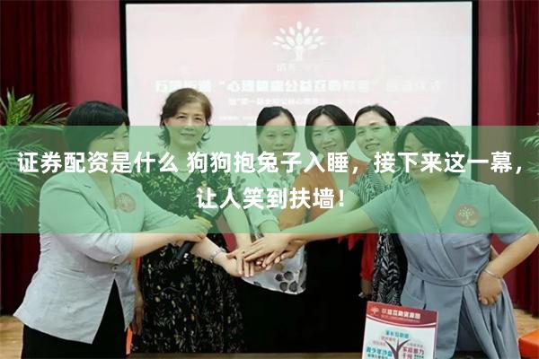 证券配资是什么 狗狗抱兔子入睡，接下来这一幕，让人笑到扶墙！