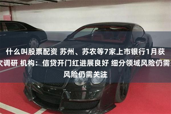 什么叫股票配资 苏州、苏农等7家上市银行1月获33次调研 机构：信贷开门红进展良好 细分领域风险仍需关注