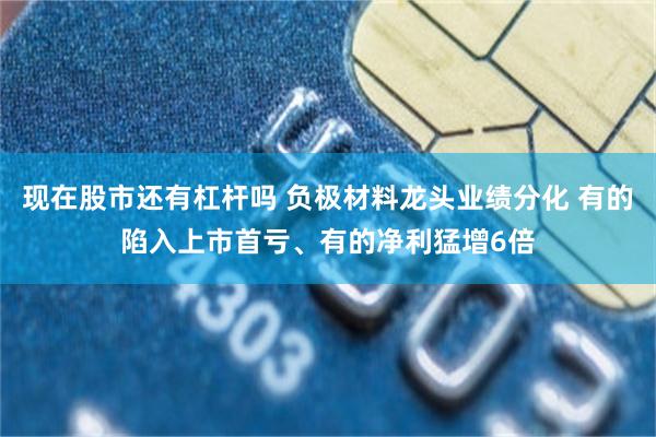 现在股市还有杠杆吗 负极材料龙头业绩分化 有的陷入上市首亏、有的净利猛增6倍