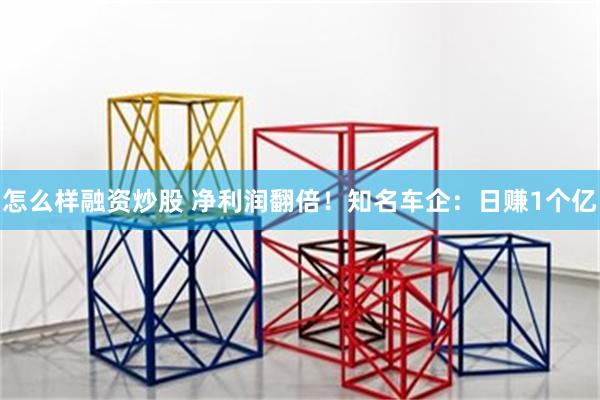 怎么样融资炒股 净利润翻倍！知名车企：日赚1个亿