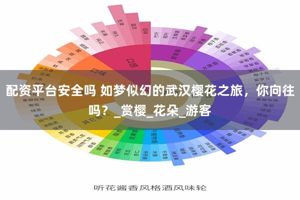 配资平台安全吗 如梦似幻的武汉樱花之旅，你向往吗？_赏樱_花朵_游客