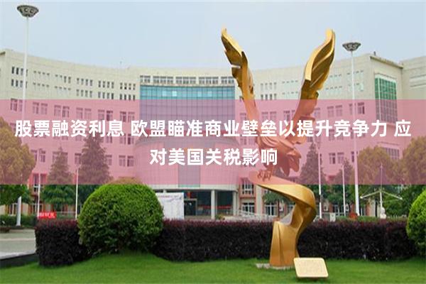股票融资利息 欧盟瞄准商业壁垒以提升竞争力 应对美国关税影响