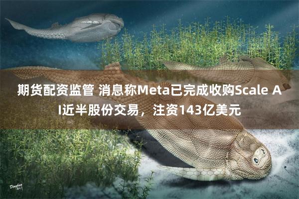 期货配资监管 消息称Meta已完成收购Scale AI近半股份交易，注资143亿美元