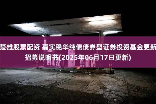 楚雄股票配资 嘉实稳华纯债债券型证券投资基金更新招募说明书(2025年06月17日更新)