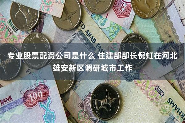 专业股票配资公司是什么 住建部部长倪虹在河北雄安新区调研城市工作